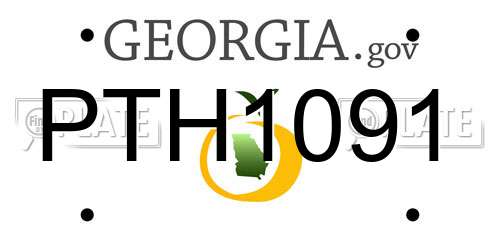 PTH1091 Georgia License Plate