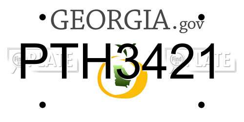 PTH3421 Georgia License Plate