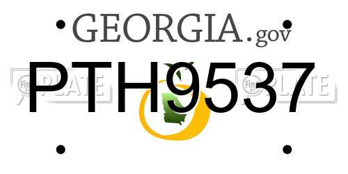 PTH9537 Georgia License Plate