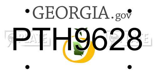 PTH9628 Georgia License Plate