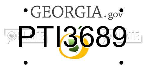 PTI3689 Georgia License Plate