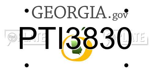 PTI3830 Georgia License Plate