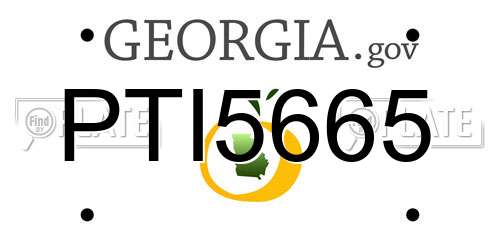 PTI5665 Georgia License Plate