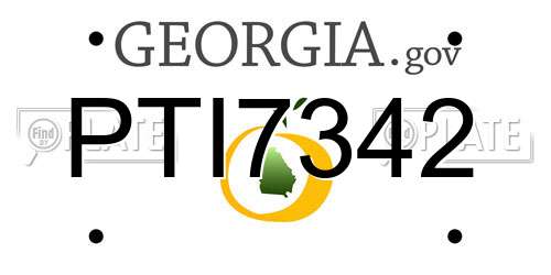 PTI7342 Georgia License Plate