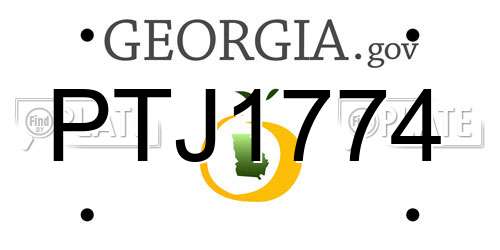 PTJ1774 Georgia License Plate