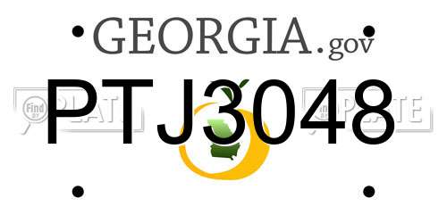 PTJ3048 Georgia License Plate