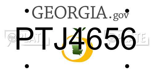 PTJ4656 Georgia License Plate