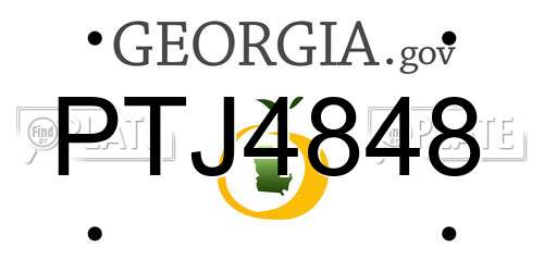 PTJ4848 Georgia License Plate
