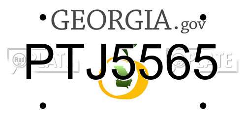 PTJ5565 Georgia License Plate