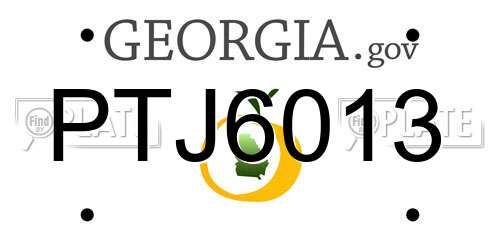 PTJ6013 Georgia License Plate