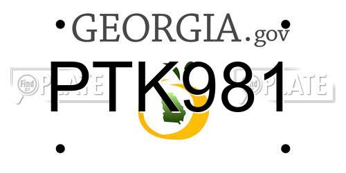 PTK981 Georgia License Plate