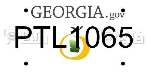 PTL1065 Georgia License Plate