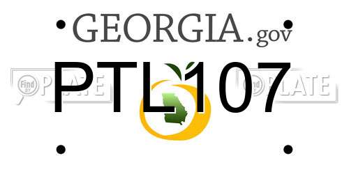 PTL107 Georgia License Plate