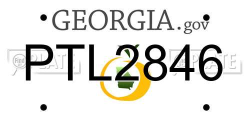 PTL2846 Georgia License Plate