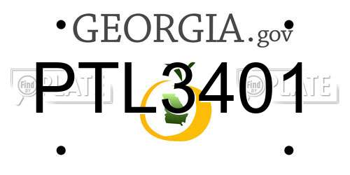 PTL3401 Georgia License Plate