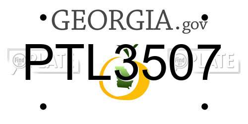 PTL3507 Georgia License Plate