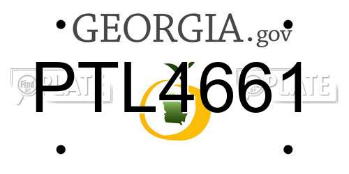 PTL4661 Georgia License Plate