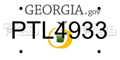 PTL4933 Georgia License Plate