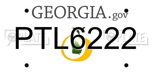 PTL6222 Georgia License Plate