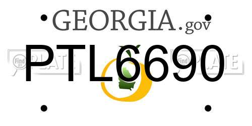 PTL6690 Georgia License Plate