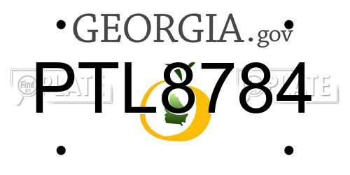 PTL8784 Georgia License Plate