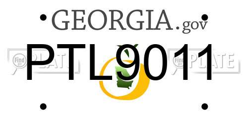 PTL9011 Georgia License Plate