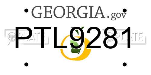PTL9281 Georgia License Plate