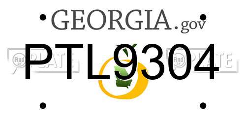 PTL9304 Georgia License Plate