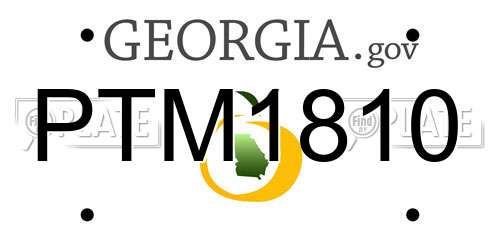 PTM1810 Georgia License Plate