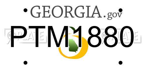 PTM1880 Georgia License Plate