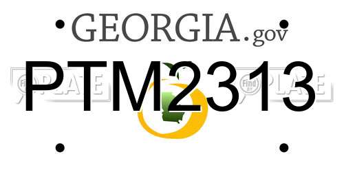 PTM2313 Georgia License Plate