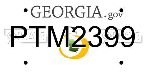 PTM2399 Georgia License Plate