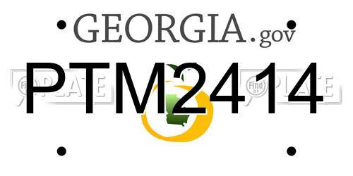 PTM2414 Georgia License Plate