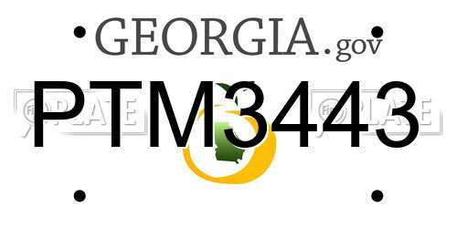 PTM3443 Georgia License Plate