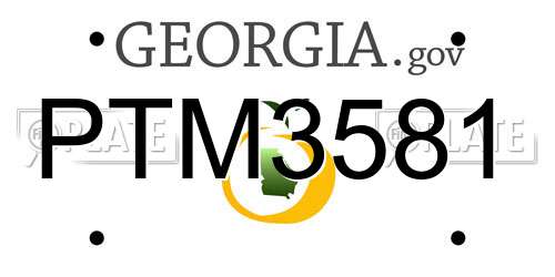 PTM3581 Georgia License Plate