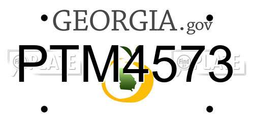 PTM4573 Georgia License Plate