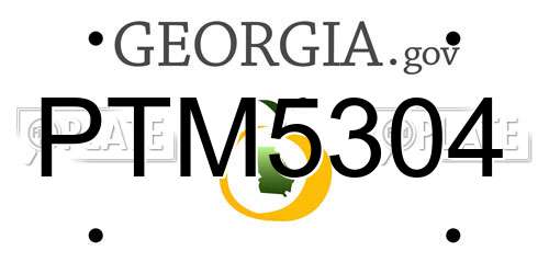 PTM5304 Georgia License Plate