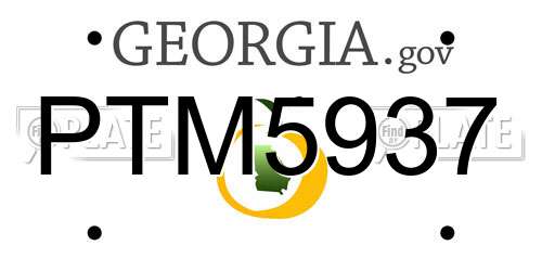 PTM5937 Georgia License Plate