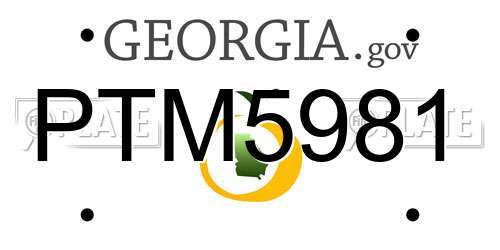 PTM5981 Georgia License Plate