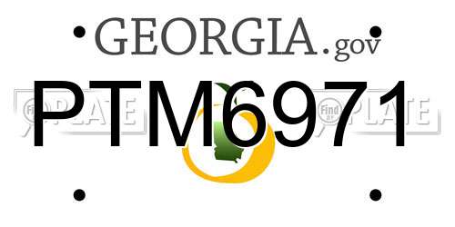 PTM6971 Georgia License Plate