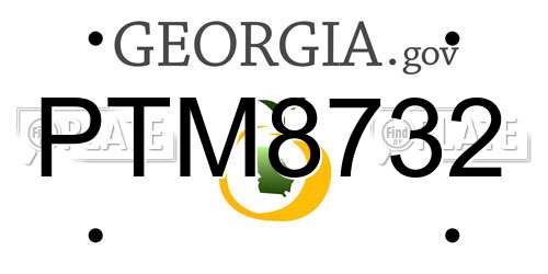 PTM8732 Georgia License Plate