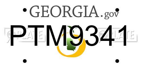 PTM9341 Georgia License Plate