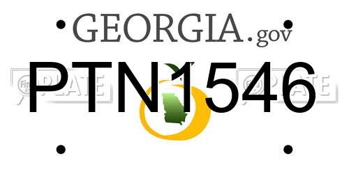 PTN1546 Georgia License Plate