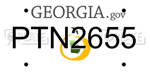PTN2655 Georgia License Plate