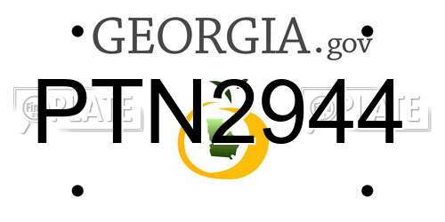 PTN2944 Georgia License Plate