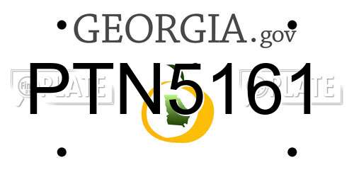 PTN5161 Georgia License Plate
