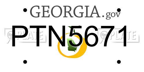 PTN5671 Georgia License Plate