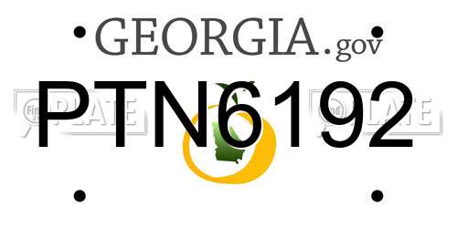 PTN6192 Georgia License Plate