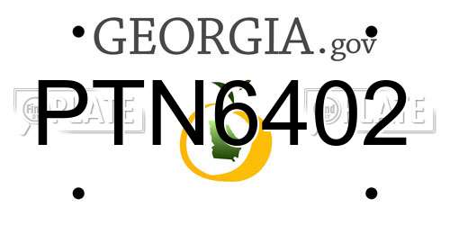 PTN6402 Georgia License Plate