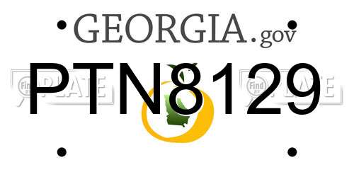 PTN8129 Georgia License Plate